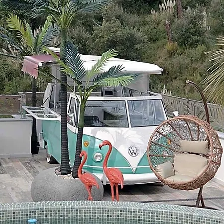 Hotel Casa Coco Boutique & 4*s - Adults Only 4*